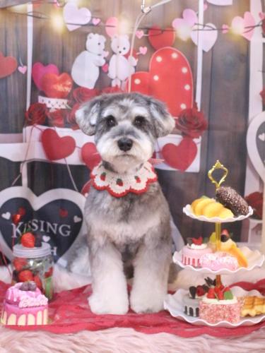 20250228ビッケくん